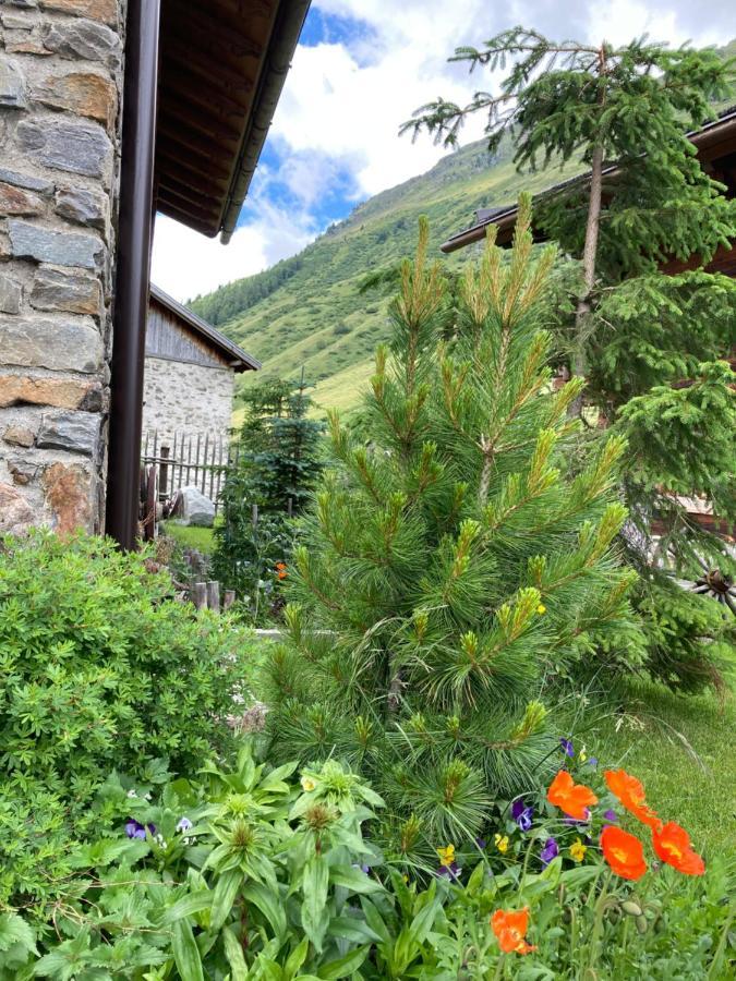 Dreihaeuser Obergurgl Exterior foto